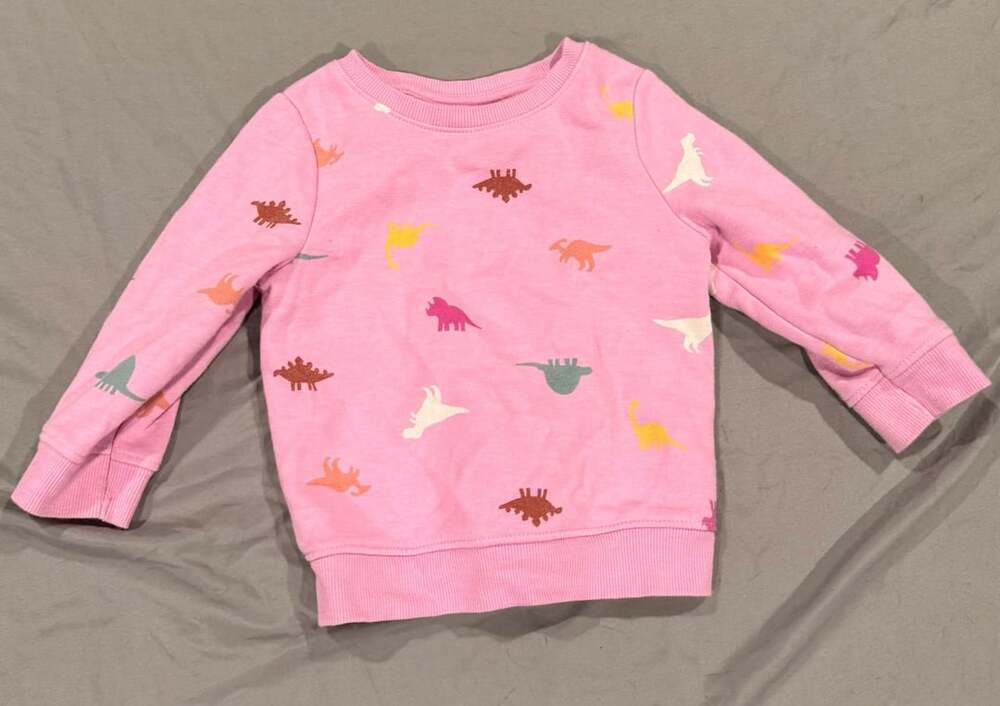 Cat & Jack Dinosaur Sweatshirt Size 18M Pink